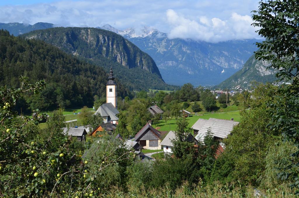 Apartment Brumec Bohinj Værelse billede